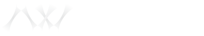 NetVector IT Services